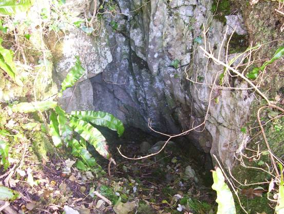 Badger Hole (Cave / Rock Shelter) by treehugger-uk