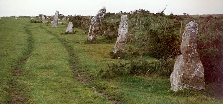 The Nine Maidens (Stone Row / Alignment) by RoyReed
