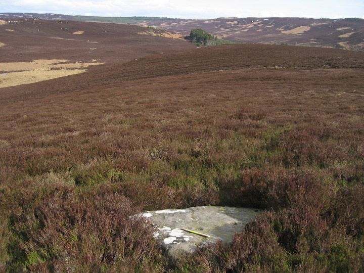 Crocky's Heugh (Cup Marked Stone) by rockandy