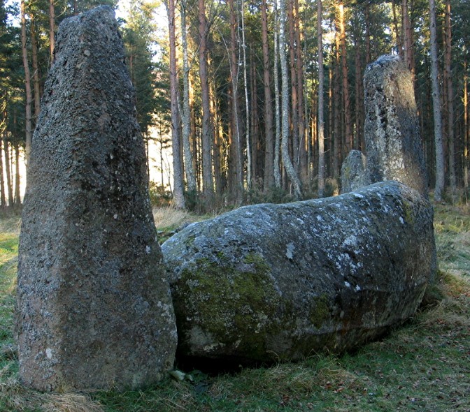 Cothiemuir Wood (Stone Circle) by greywether