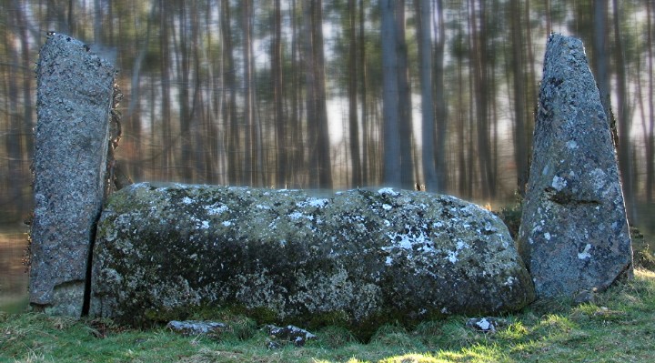 Cothiemuir Wood (Stone Circle) by greywether