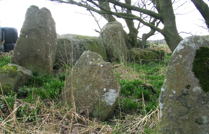 Netherton (Stone Circle) by greywether