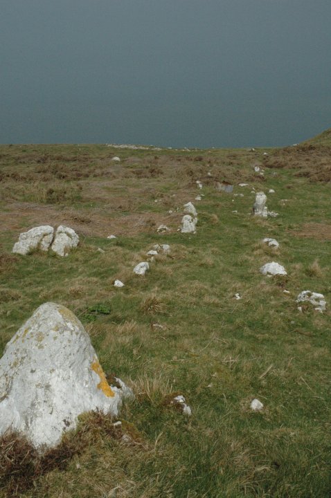 Hwylfa'r Ceirw (Stone Row / Alignment) by Jane