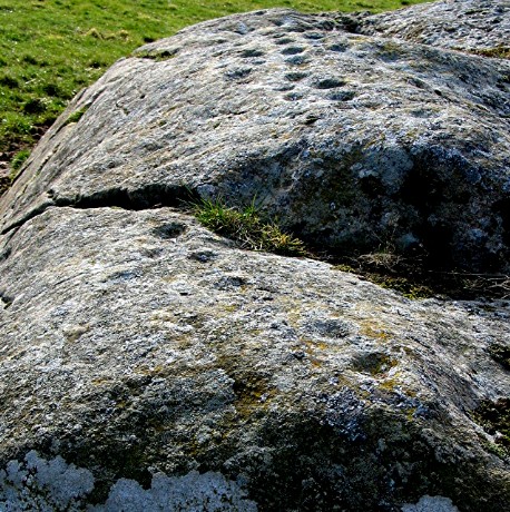 Avochie Stone (Cup and Ring Marks / Rock Art) by greywether