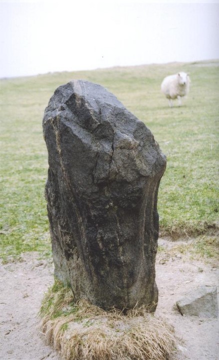 Borgh (Standing Stones) by follow that cow