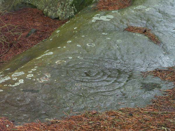 Weetwood Moor (Cup and Ring Marks / Rock Art) by rockartwolf