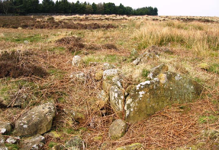 Great Ayton Moor Chambered Cairn (Cairn(s)) by fitzcoraldo