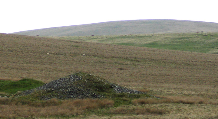 North Muir (Cairn(s)) by greywether