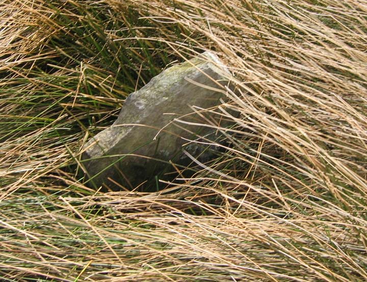 Mudbeck (Stone Circle) by fitzcoraldo