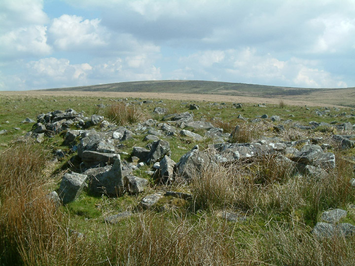 Whittenknowles Rocks Settlement (Ancient Village / Settlement / Misc. Earthwork) by Mr Hamhead