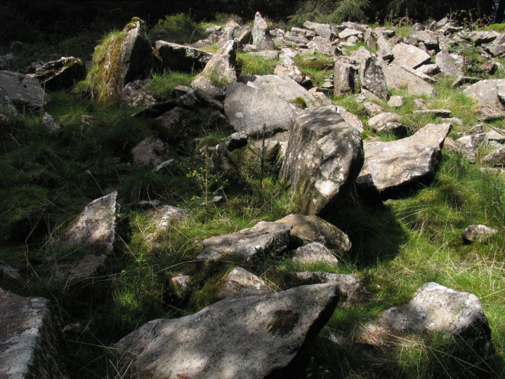 Torr an Loisgte (Chambered Cairn) by greywether