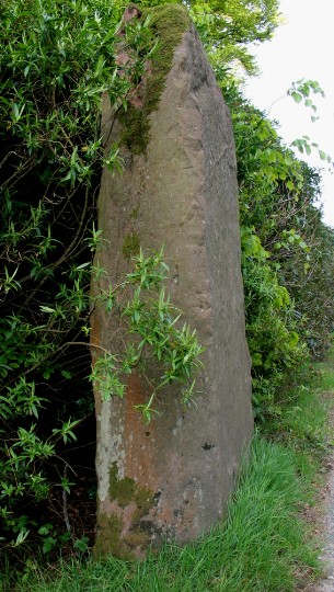 Stronach (Standing Stone / Menhir) by greywether