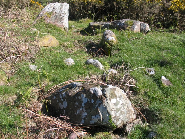 Machrie Moor chambered cairn (Chambered Cairn) by greywether