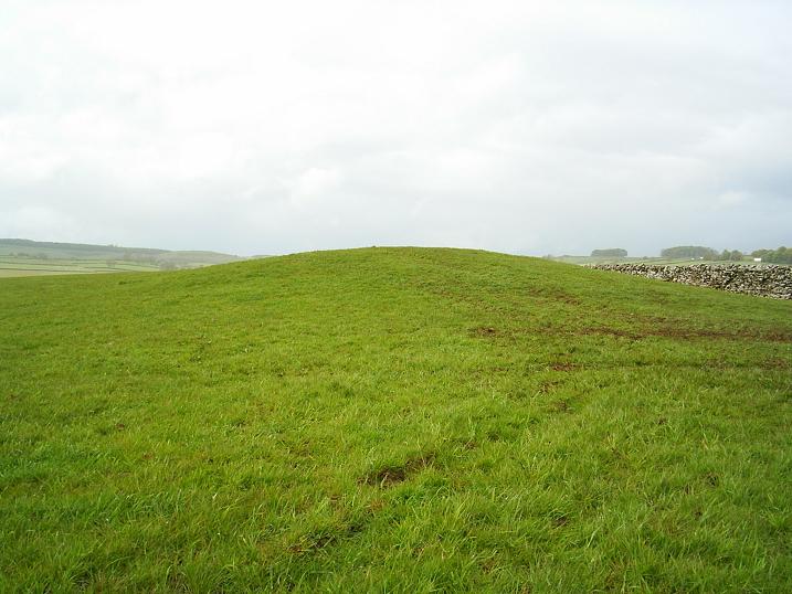 Skellaw Hill (Round Barrow(s)) by The Eternal