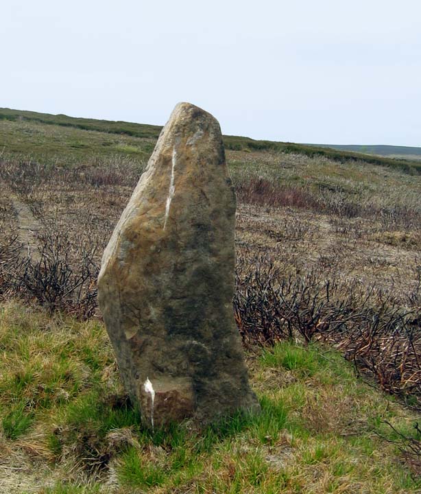Percy Rigg Standing Stone (Standing Stones) by fitzcoraldo