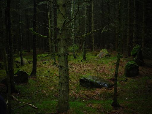 Druids Seat Stone Circle (Stone Circle) by pygmyshrew69