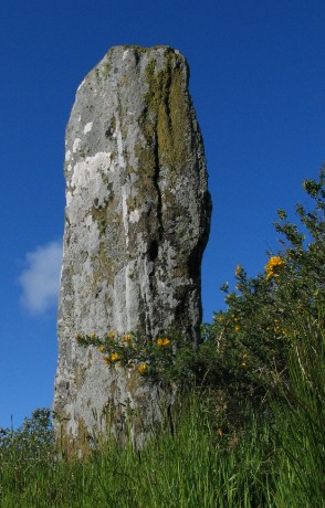 Stane Alane (Standing Stone / Menhir) by greywether