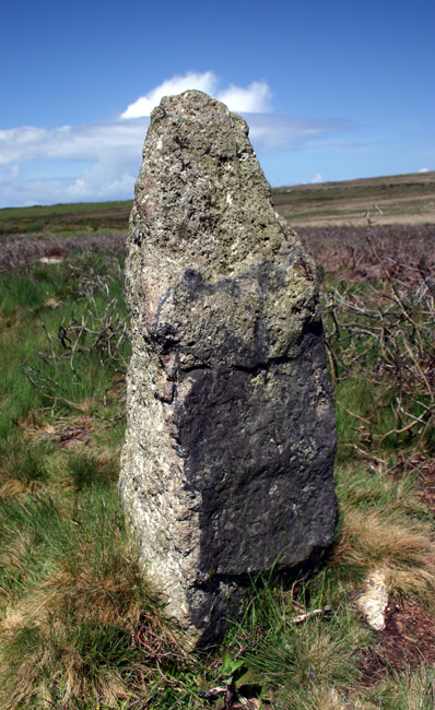 Tregeseal (Stone Circle) by ocifant