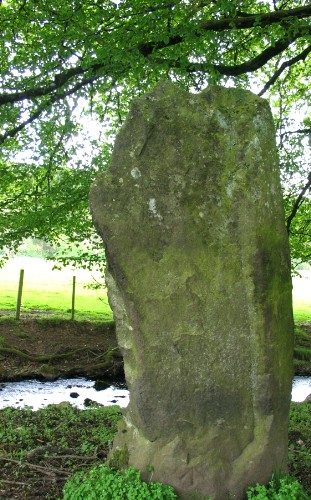 Mony's Stone (Standing Stone / Menhir) by greywether