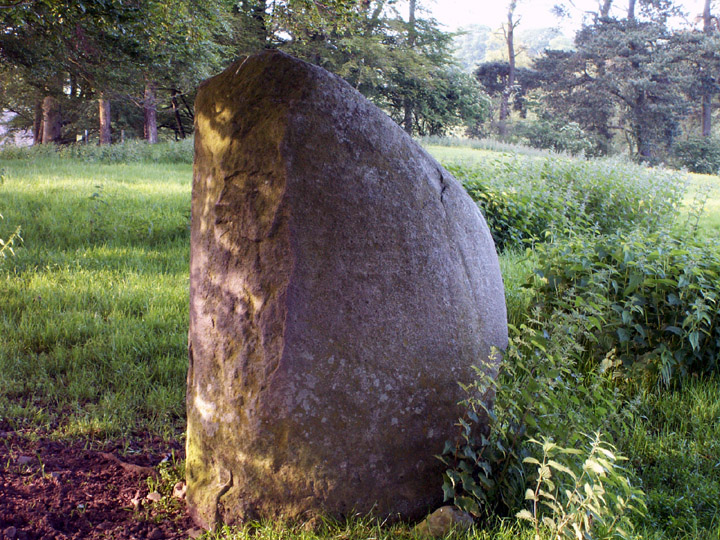 Skip Knowe, Gateside (Standing Stone / Menhir) by rockartwolf