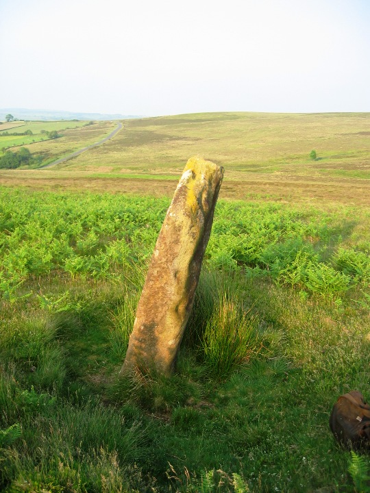 Glaisdale Swang Stones (Standing Stone / Menhir) by fitzcoraldo