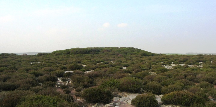 Wheeldale Howe (Artificial Mound) by fitzcoraldo