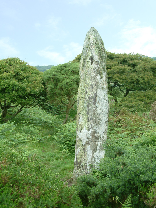Carfury (Standing Stone / Menhir) by Mr Hamhead