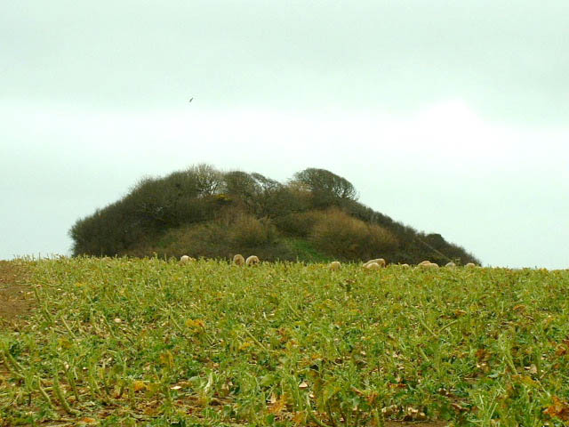Carne Beacon (Round Barrow(s)) by phil