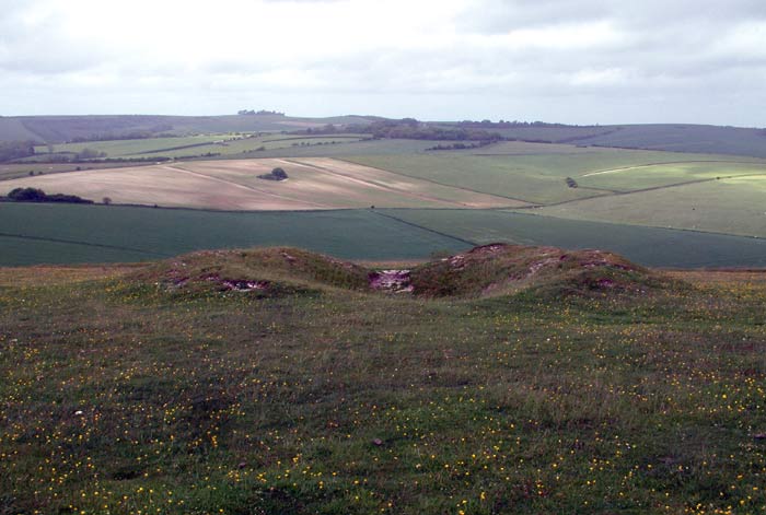 Cissbury Ring (Hillfort) by baza