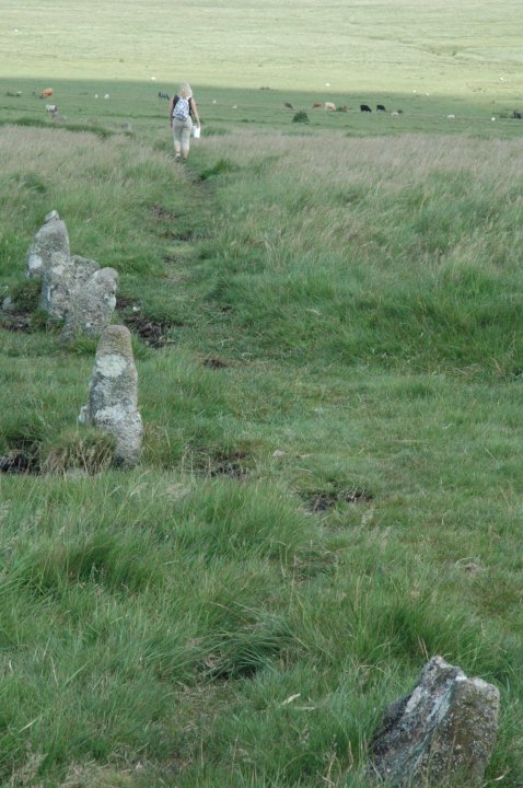 Ringmoor Cairn Circle and Stone Row (Stone Row / Alignment) by Jane