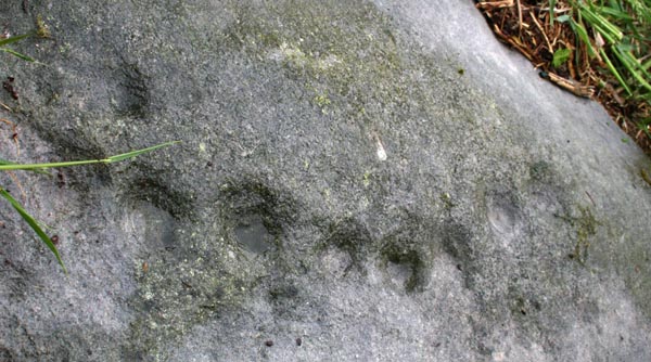 Snook Bank (Cup and Ring Marks / Rock Art) by Hob