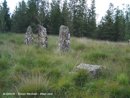Dervaig A (Stone Row / Alignment) by Kammer