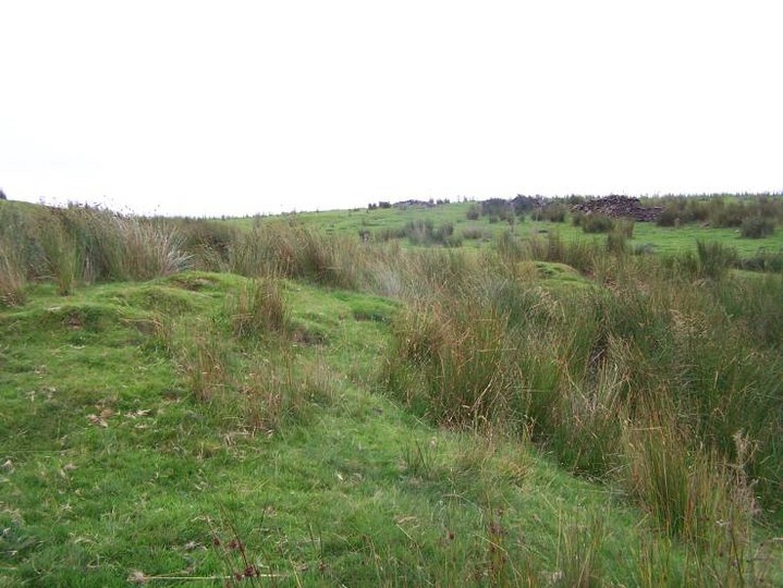 Extwistle Moor (Stone Circle) by treehugger-uk