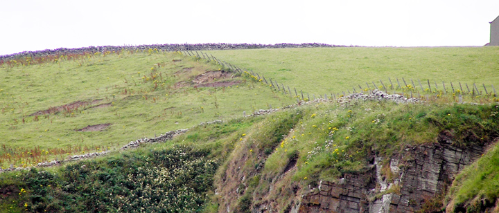 Lingrow (Chambered Tomb) by wideford