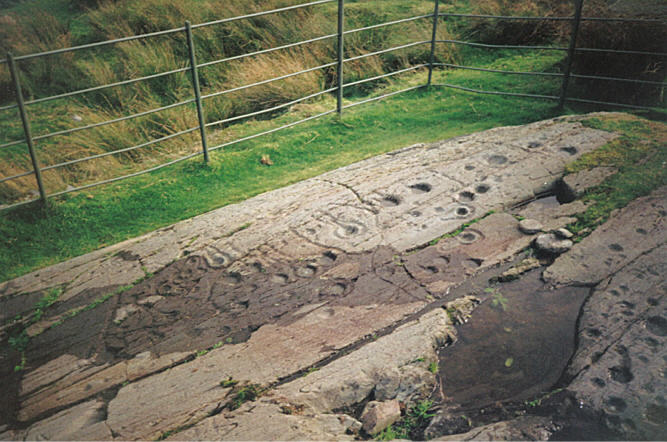 Kilmichael Glassary (Cup and Ring Marks / Rock Art) by hamish