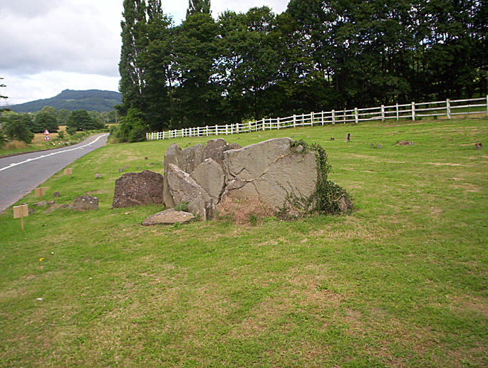 Gwernvale (Chambered Tomb) by hamish