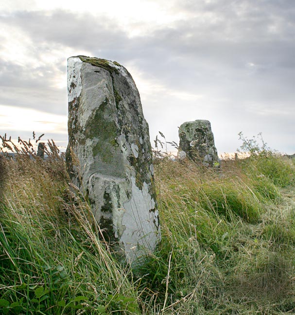Borve (Isle of Skye) (Stone Row / Alignment) by Hob