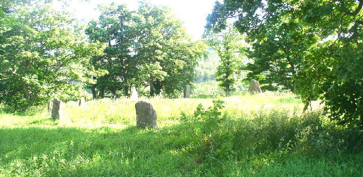 Sunhoney (Stone Circle) by suave harv