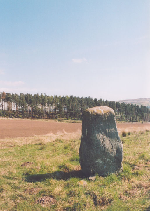 Gleneagles B (Standing Stone / Menhir) by BigSweetie