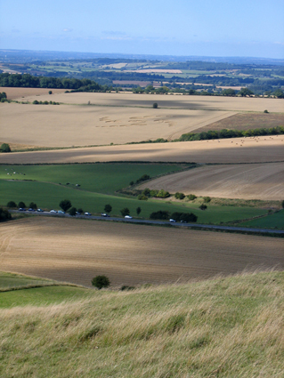 Cherhill Down and Oldbury (Hillfort) by Zeb