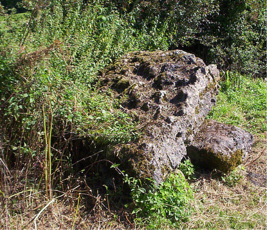 Coity Chambered Tomb (Chambered Tomb) by hamish