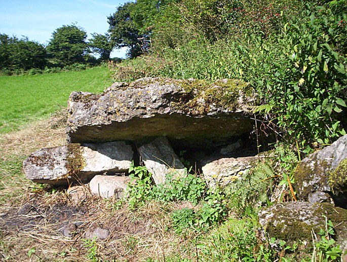 Coity Chambered Tomb (Chambered Tomb) by hamish