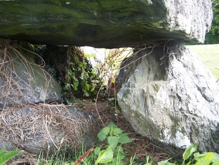 Plas Newydd Burial Chamber (Dolmen / Quoit / Cromlech) by treehugger-uk