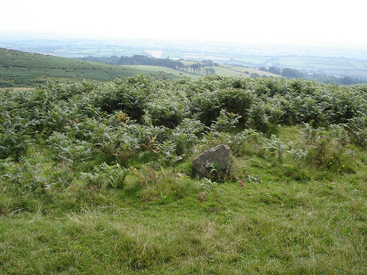 Butterdon Hill Chambered Tomb (Chambered Tomb) by Lubin