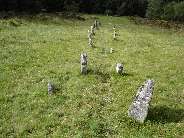 Assycombe Hill (Stone Row / Alignment) by Lubin
