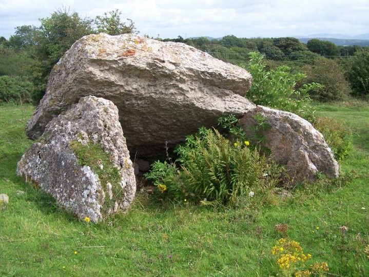 Pant-y-Saer (Burial Chamber) by treehugger-uk