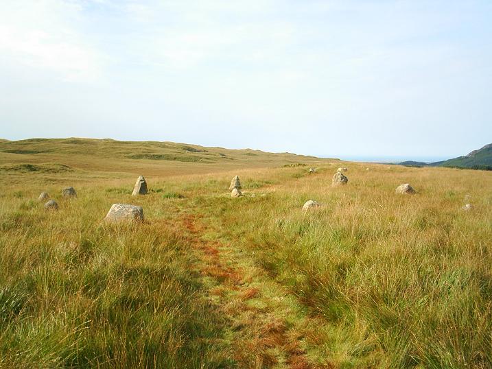 White Moss (Stone Circle) by The Eternal
