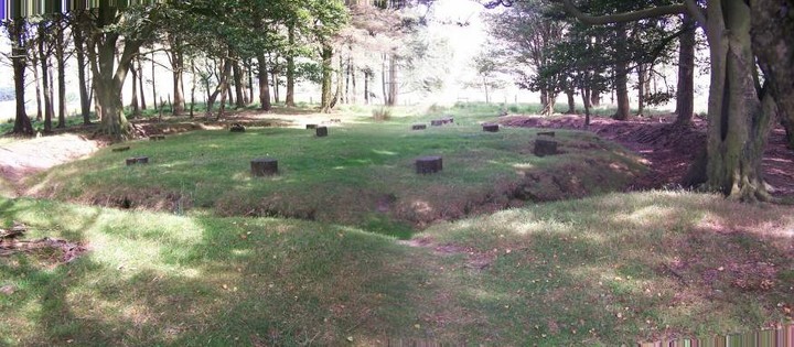 Bleasedale Circle (Timber Circle) by treehugger-uk