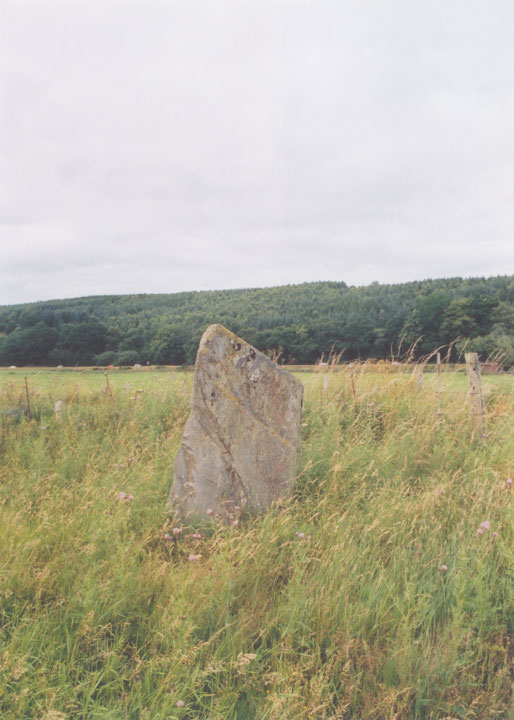 Clach Glas (Standing Stone / Menhir) by BigSweetie