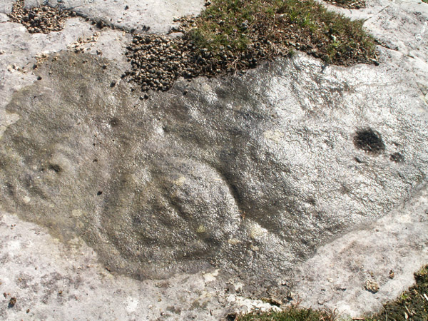 Chatton (Cup and Ring Marks / Rock Art) by rockartwolf